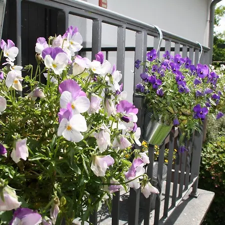 דירה Ferienwohnung Haus Sura *